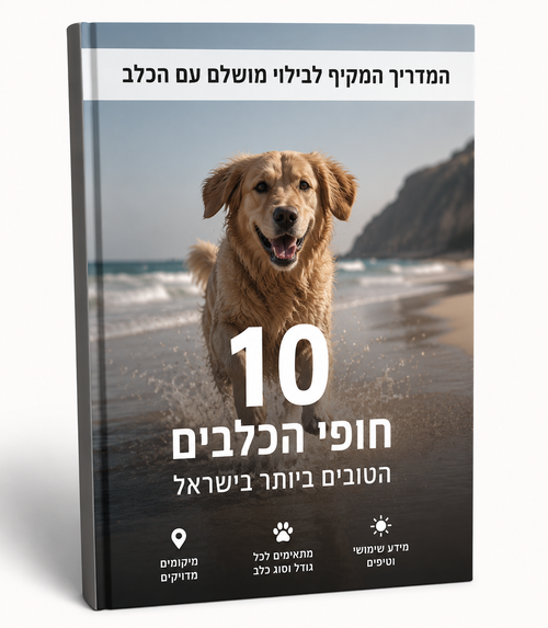 מדריך חופי הכלבים