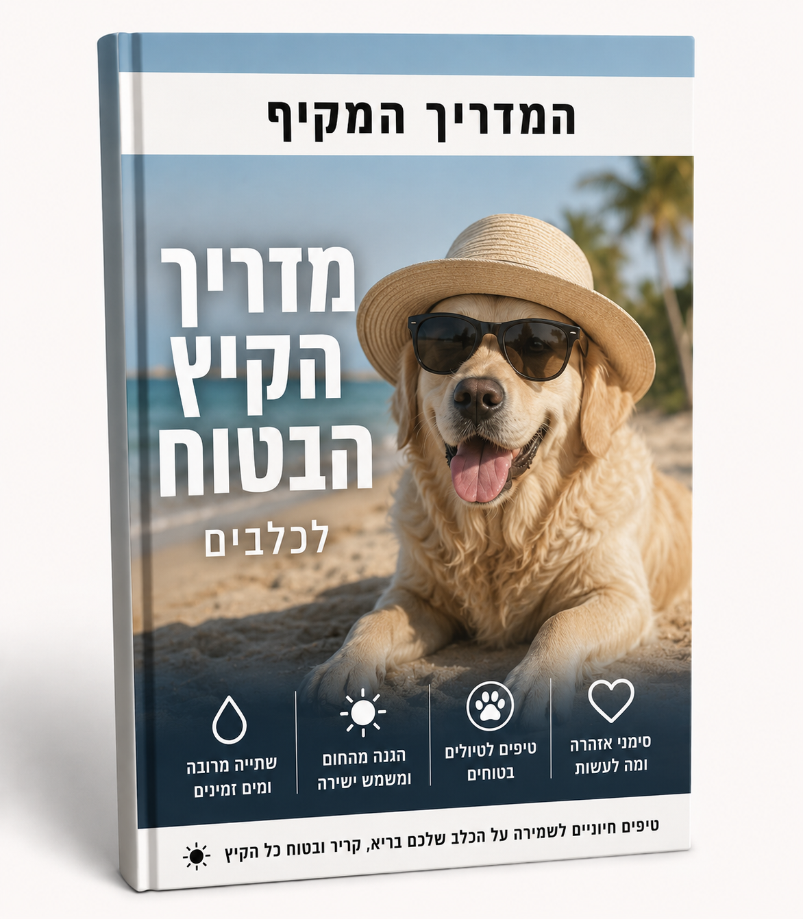 פרוטוקול הקיץ הבטוח